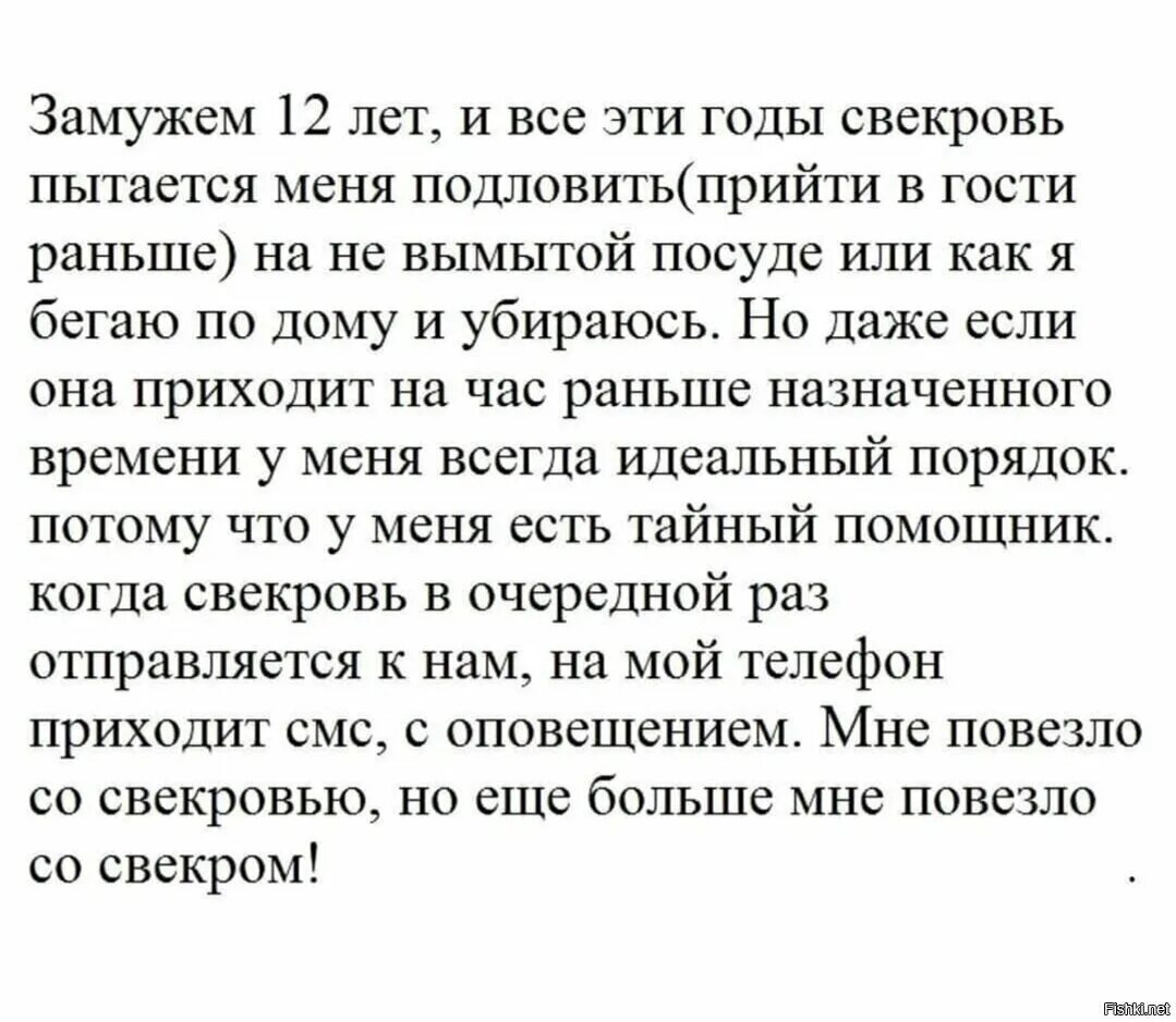 Свекровь. Дзен истории свекровь. Дзен истории свекровь. Дзен истории свекровь. Статус замужем.