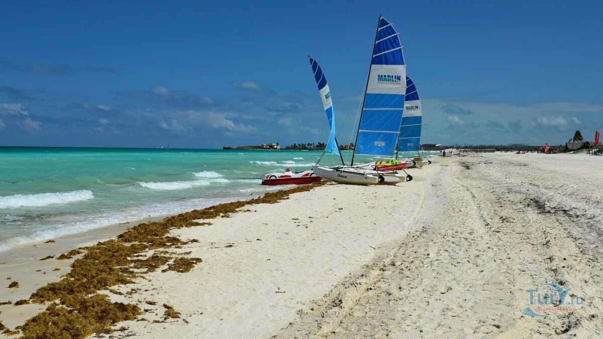 Куба Кайо Коко. Трип Кайо Коко Куба. Куба Tryp Cayo Coco. Трип Кайо Коко 4. Трип кайо коко