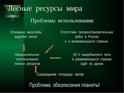 Географическое положение лесных ресурсов