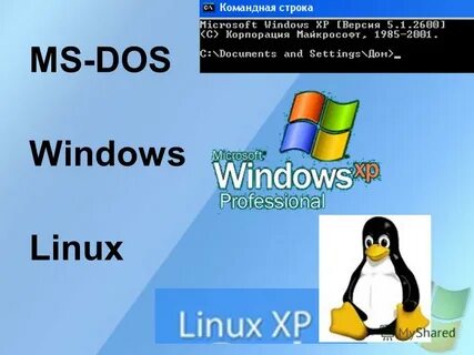 Linux dos