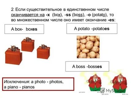 Вишня множественное число