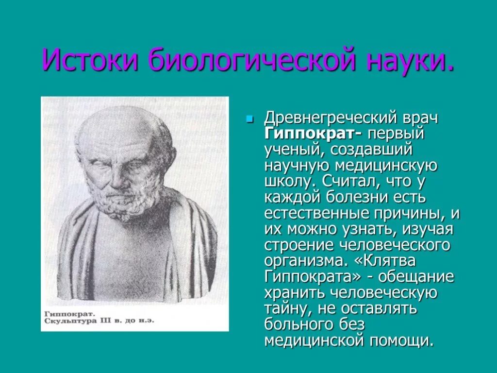 Древнегреческий ученый биология. Древнегреческий врач Гиппократ. Гиппократ учёные древней Греции. Гиппократ вклад в развитие биологии.