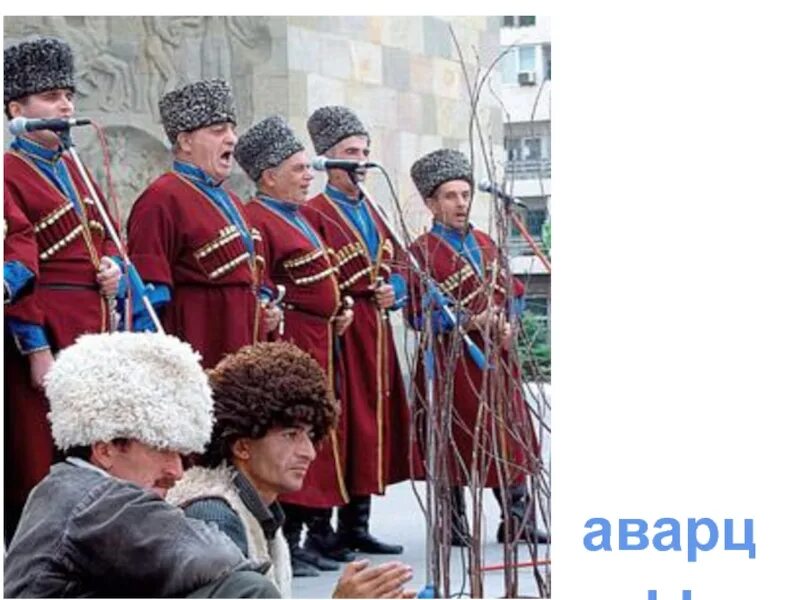 Аварцы относятся к народам. Аварцы даргинцы лакцы. Традиционная одежда аварцев мужчин. Традиционные занятия народов кавказа. Аварцы относятся к народам.