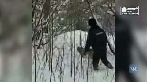 Ловили ли