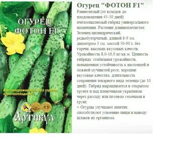 Лучшие сорта огурцов для открытого грунта урала