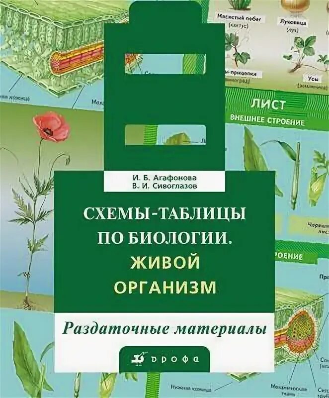 Что такое ботаническая папка в биологии