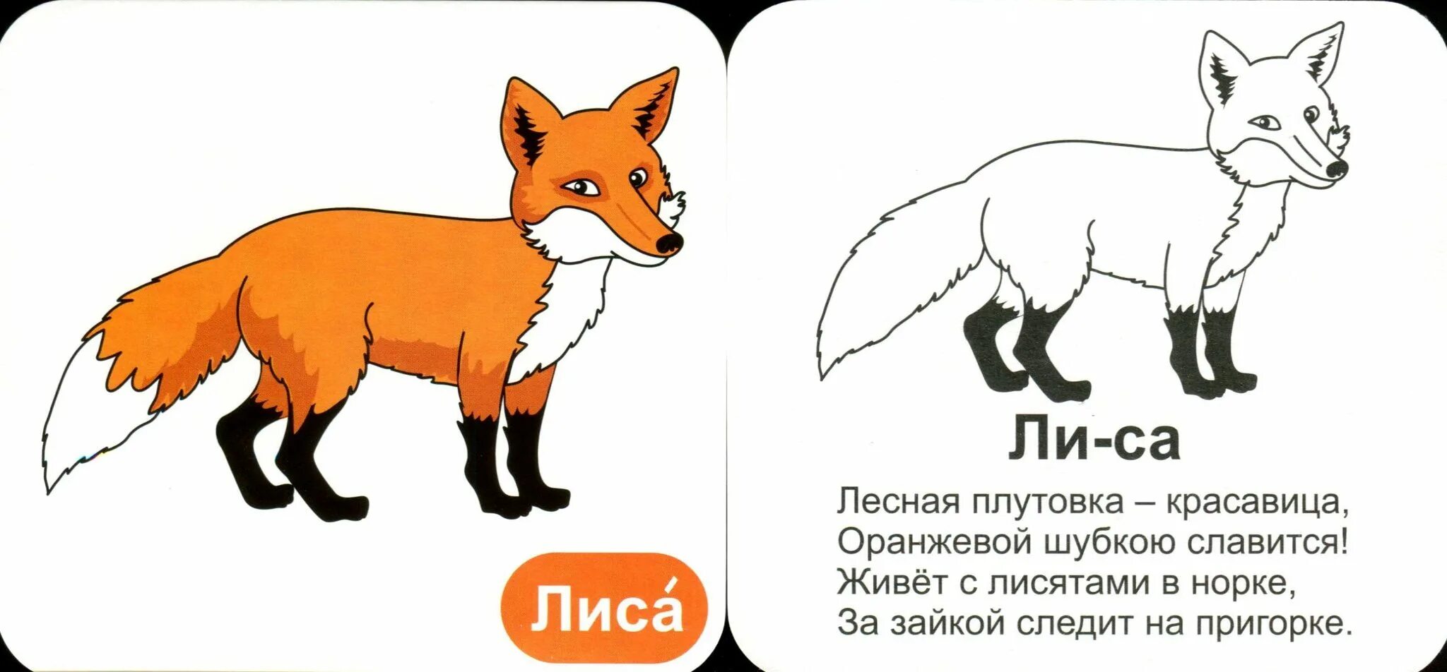 Лисичка разбор. Лиса задания для детей. задания про лису для детей. лиса задания для дошкольников. задания для дошкольников с лисичками.