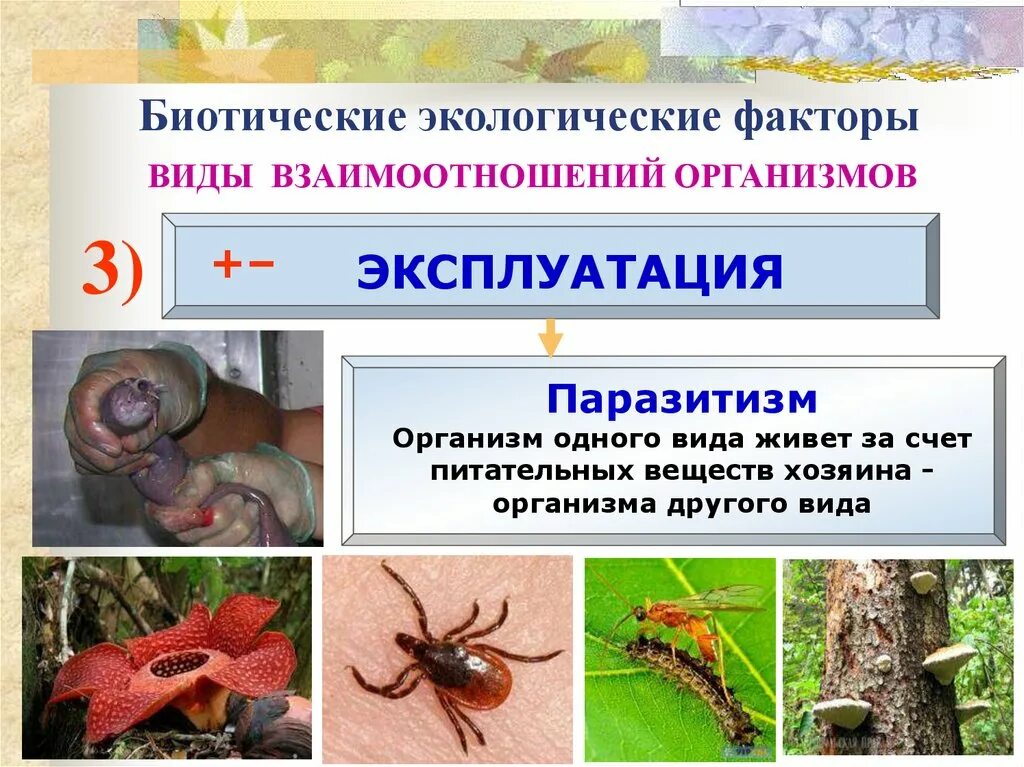Конкуренция тип биотических взаимоотношений. Типы взаимодействия организмов. виды взаимодействия между организмами. виды взаимоотношений организмов. взаимоотношений организмов паразитизм.