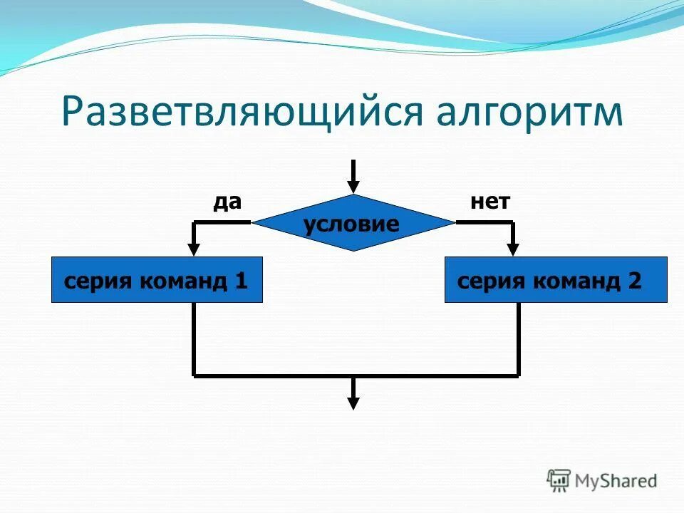 Алгоритм разветвляющийся презентация