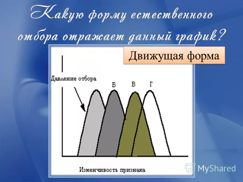 Выберите пример движущей формы естественного отбора