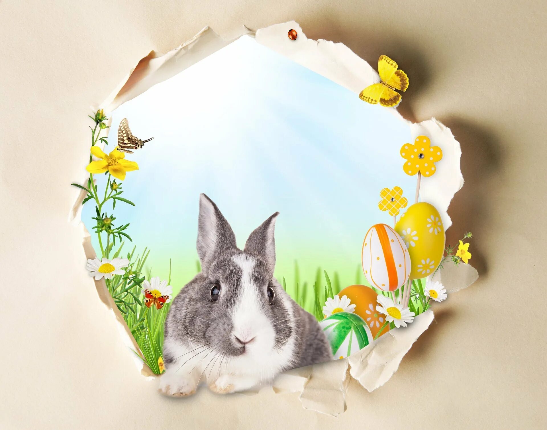 Пасхальный кролик. Пасхальные открытки с бабочками. Пасхальный фон. Пасхальный кролик коллаж. Пасхальный кролик где