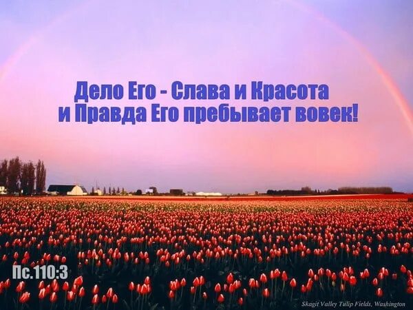 Дело его Слава и красота и правда его пребывает вовек. Псалом 110. Красота в правде. Пребывающий во мне пребывает вовек. Пребывает вовек