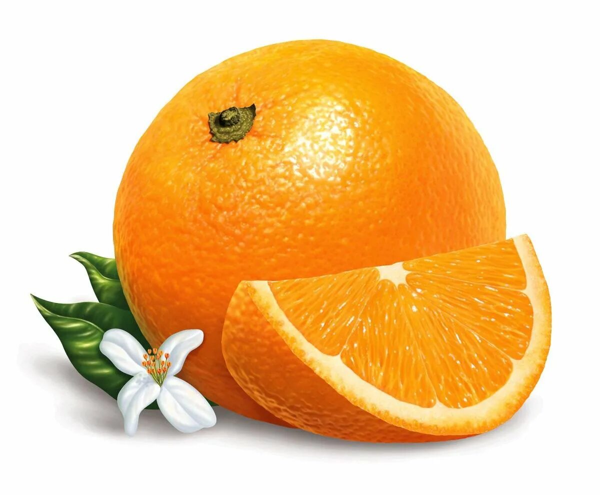 Кк апельсина. Померанец апельсин. Апельсин на белом фоне. Апельсин на прозрачном фоне. Апельсин для детей.