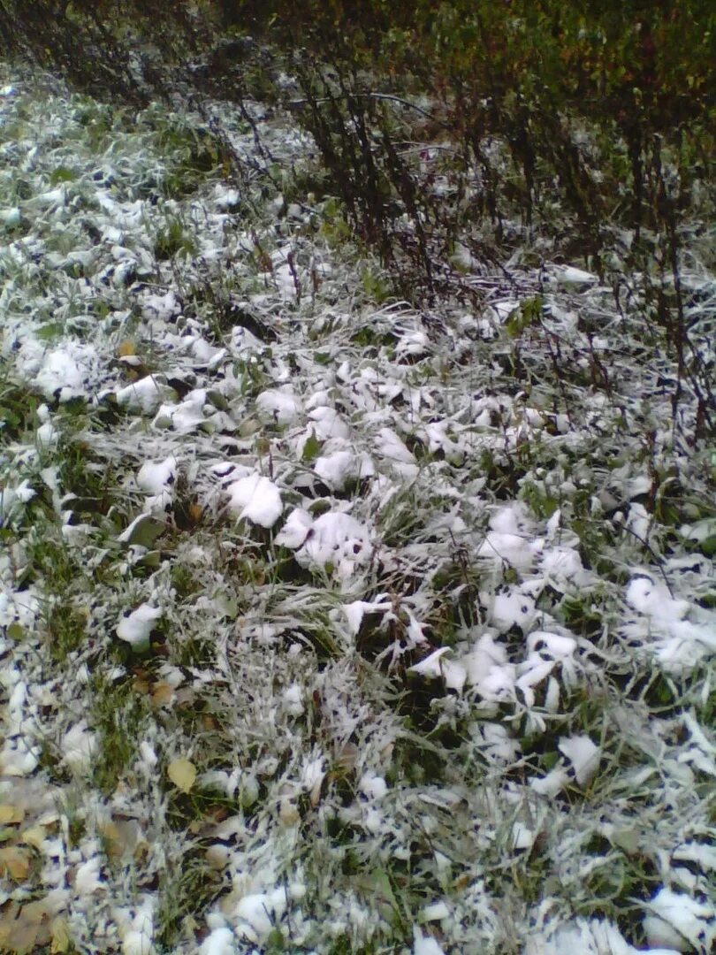 Когда примерно растает снег. Пермский край снегопад. В Перми выпал снег. Первый снег в Перми. Снег в сентябре в Перми.