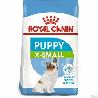 Royal x small