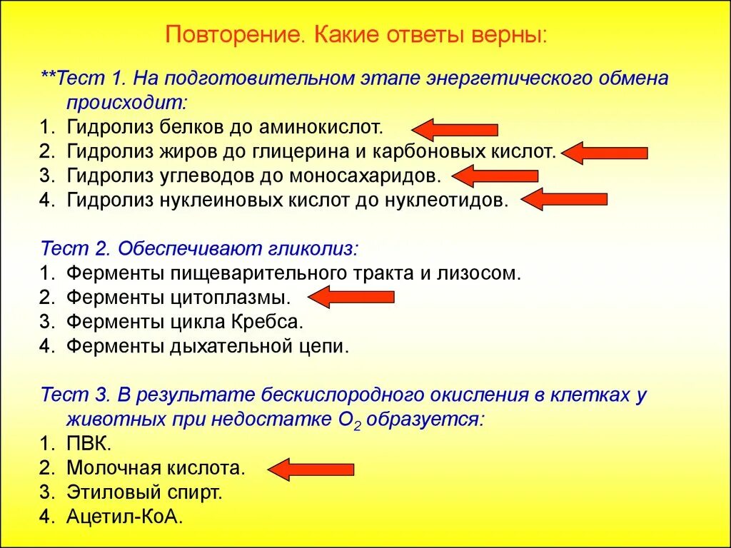 На подготовительном этапе обмена происходят. Подготовительный этап обмена белков. Подготовительный этап энергетического обмена происходит в. Энергетический обмен белков этапы. Гидролиз в энергетическом обмене.