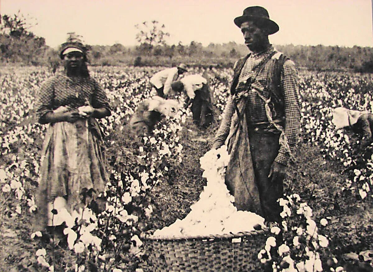 Плантации рабыни. Хлопковая плантация США 19 век. Рабство в США 19 век на плантациях хлопка. Плантации хлопка рабовладельцы Америка. Плантатор рабовладелец 19 века в США.