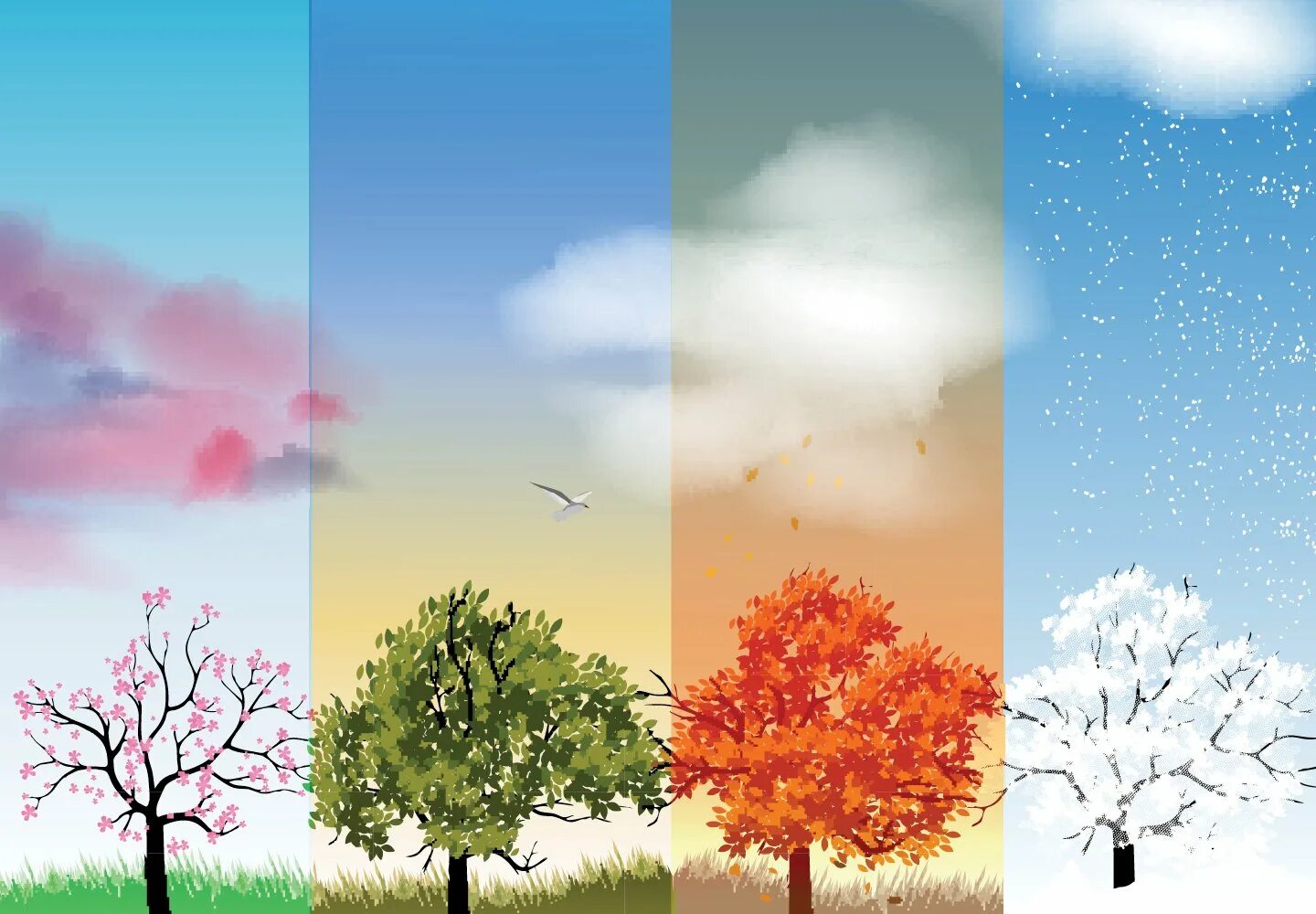 Экология времена года. Пейзаж по временам года. Дерево четыре времени года. Дерево в разные времена года.