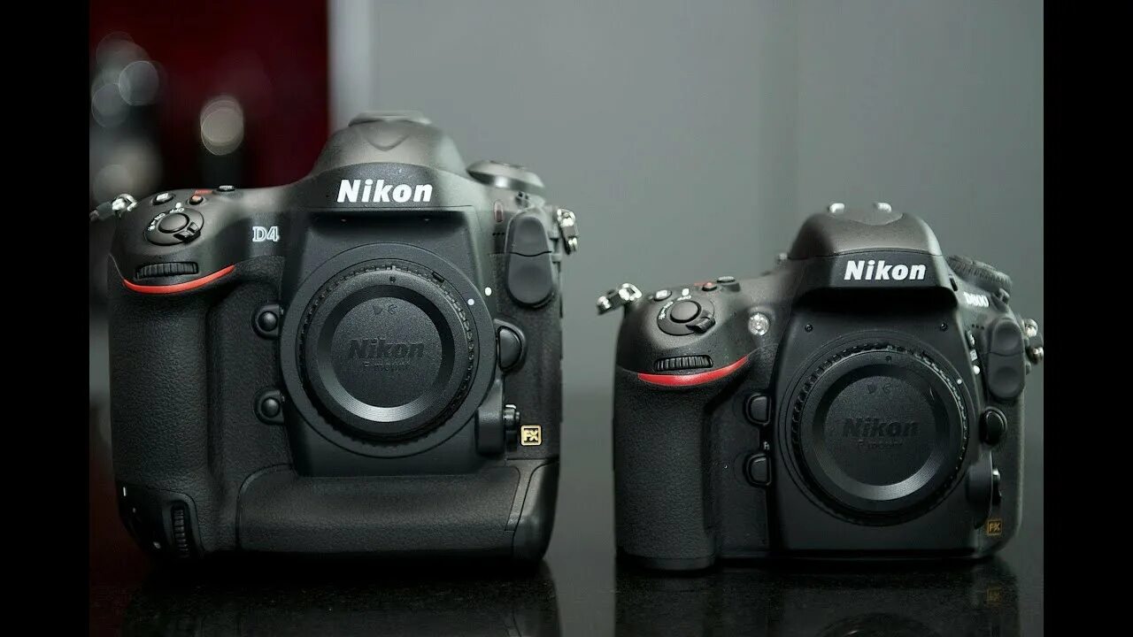 Никон д800. Фотоаппарат Никон д4. Nikon d4. Nikon d800 vs d600