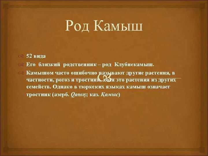 Окончание слова камышом. Камыш род. Камыш женского рода или мужского. Камыш какой род. Камыш какой род камыш.