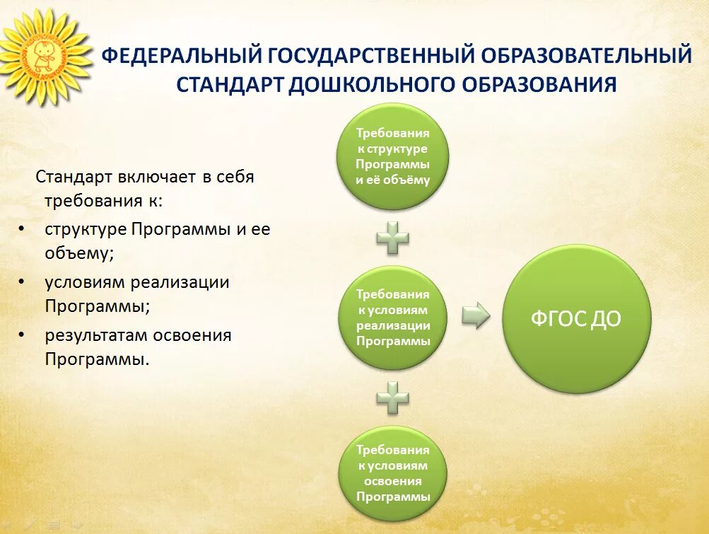 Требования к образовательной программе ДОУ В соответствии с ФГОС до. Стандарты дошкольного образования требования. Требования к дошкольному образованию по стандартам ФГОС. Требования стандарта ФГОС дошкольного образования. Оформление образовательных программ