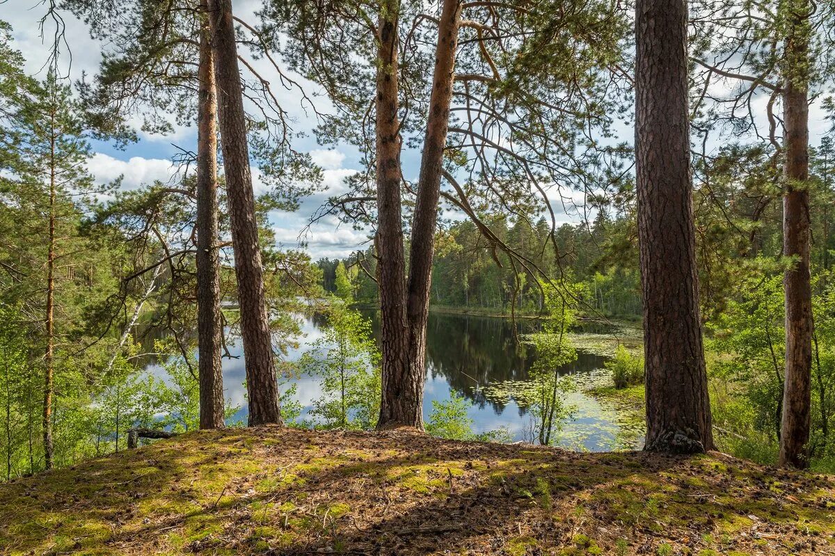 церковь покрова пресвятой богородицы арзамас. дедовское озеро нижегородская. озеро киркидеево сосновский район. храм на озере светлояр нижегородская область. болдино музей-заповедник.
