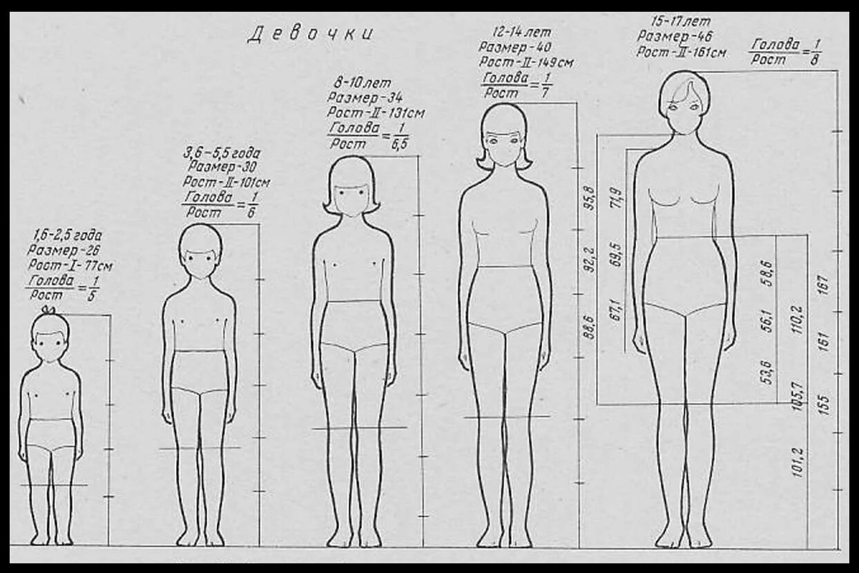 Сколько голов в взрослом человеке. Схема пропорций тела человека по возрастам. Пропорции ребенка схема. Пропорции человека разного возраста для рисования. Пропорции тела подростка для рисования.