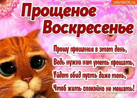 Извинить дата