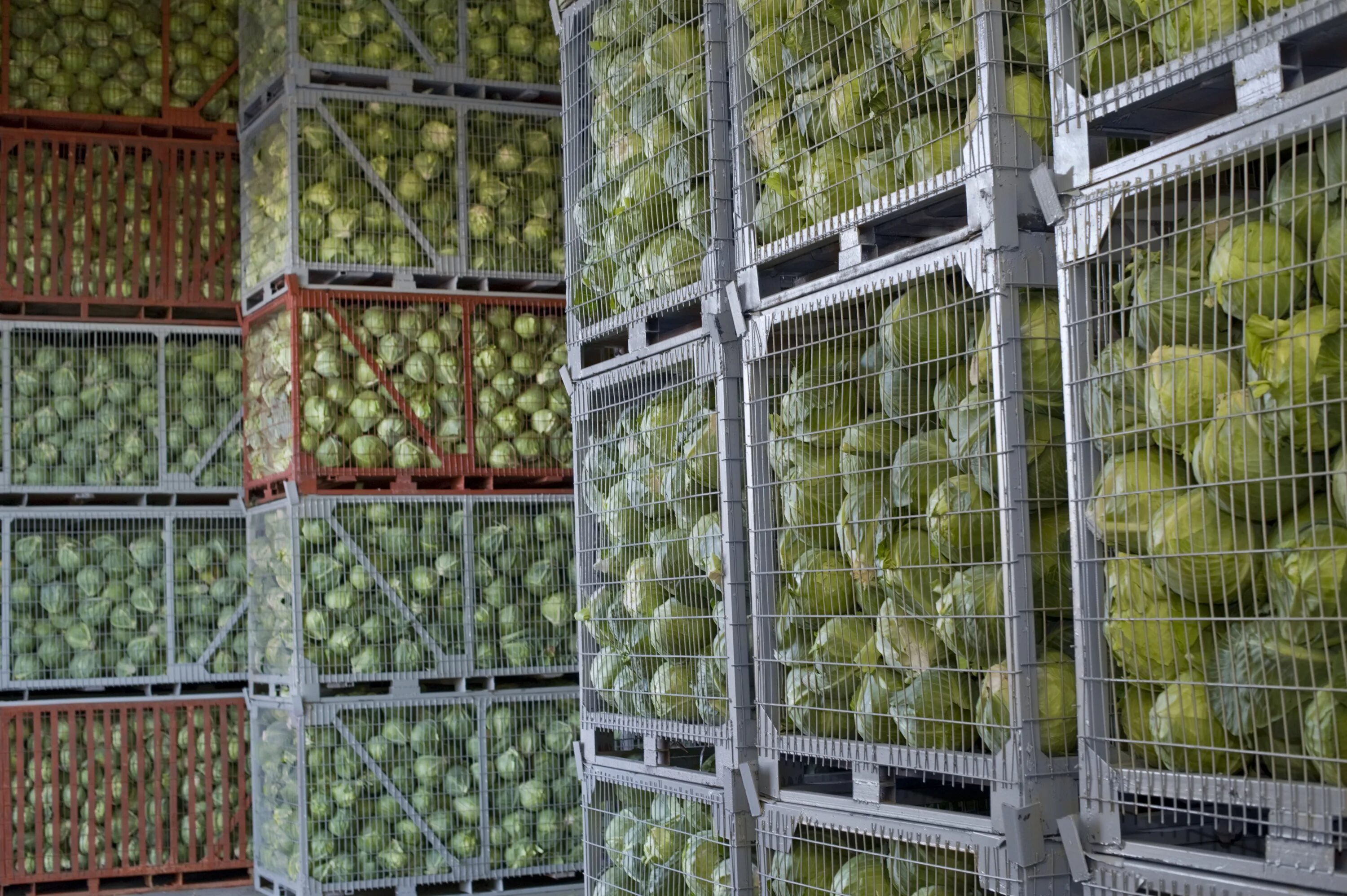 Длительное хранение фруктов. Хранилище для овощей и фруктов. Хранение овощей на складе. Хранение фруктов на складе. Овощехранилище для фруктов и овощей.