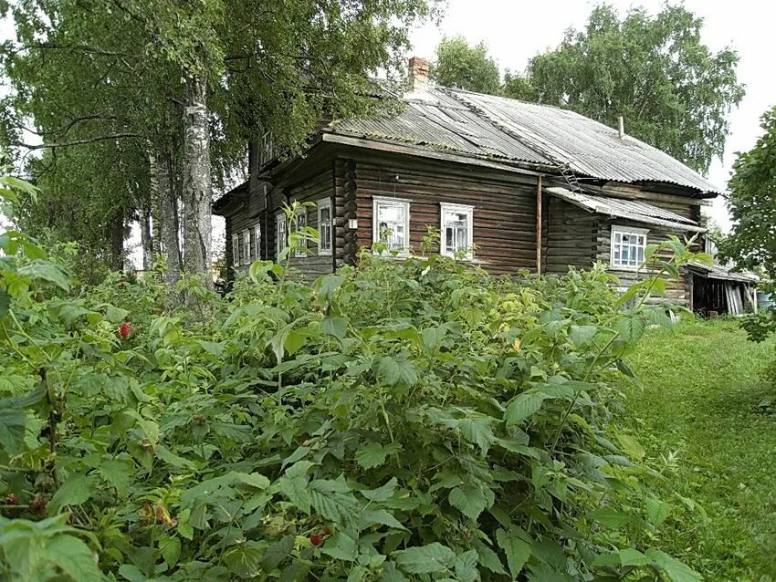 Дома город бабушкин