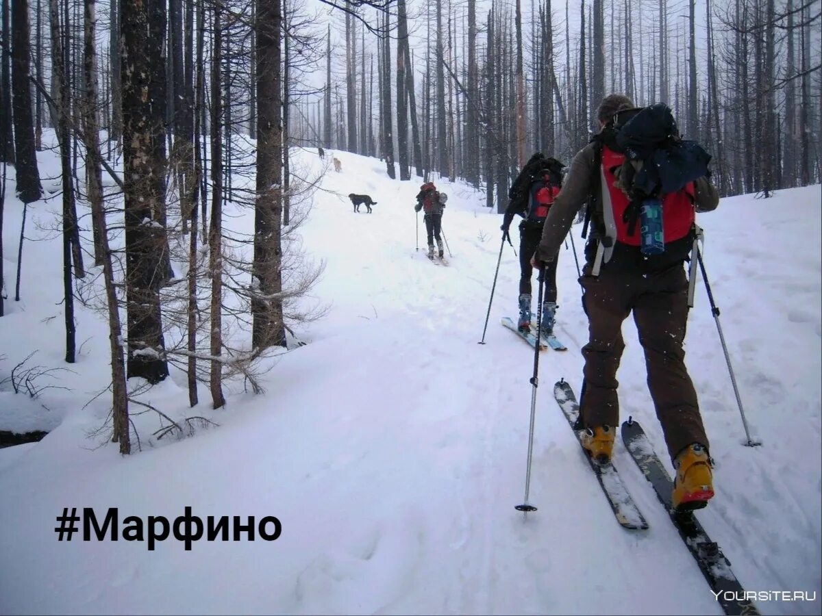 Поход на лыжах. Зимний туризм в карелии. Лыжный поход. Поход на лыжах. Лыжный поход.