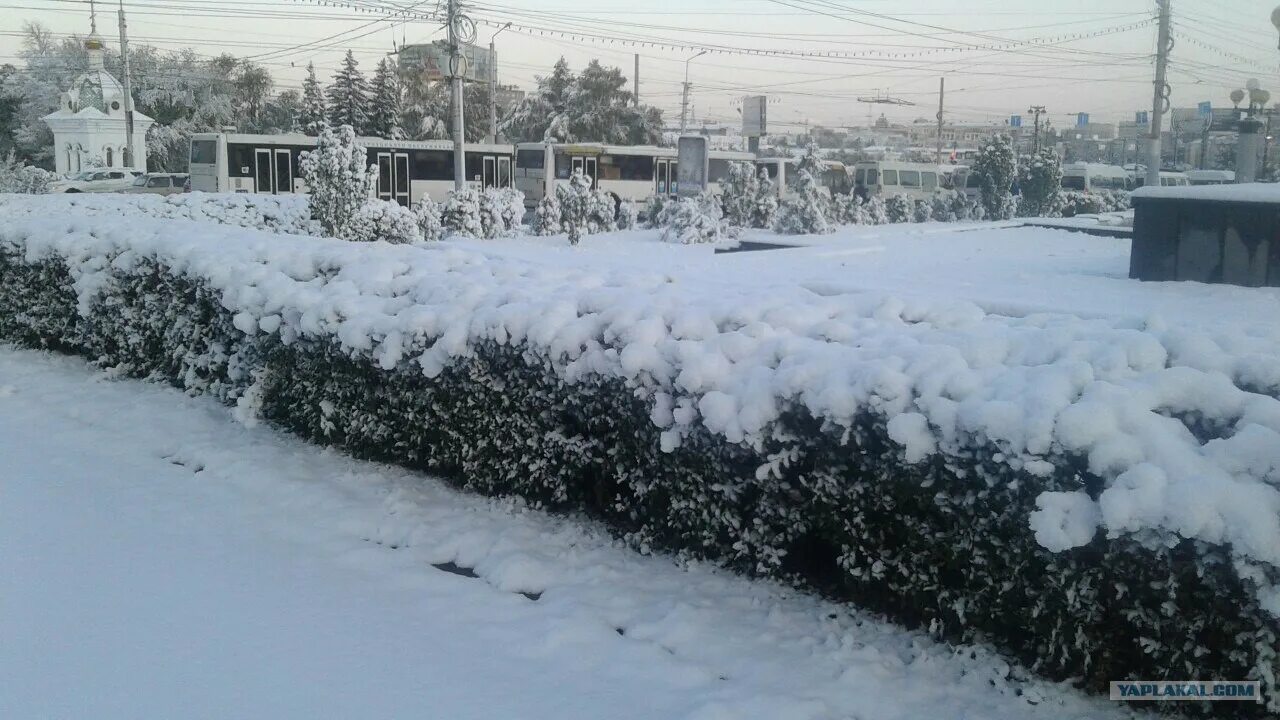 Омск погода на десять. Черепаново погодные условия. омск погода фото.
