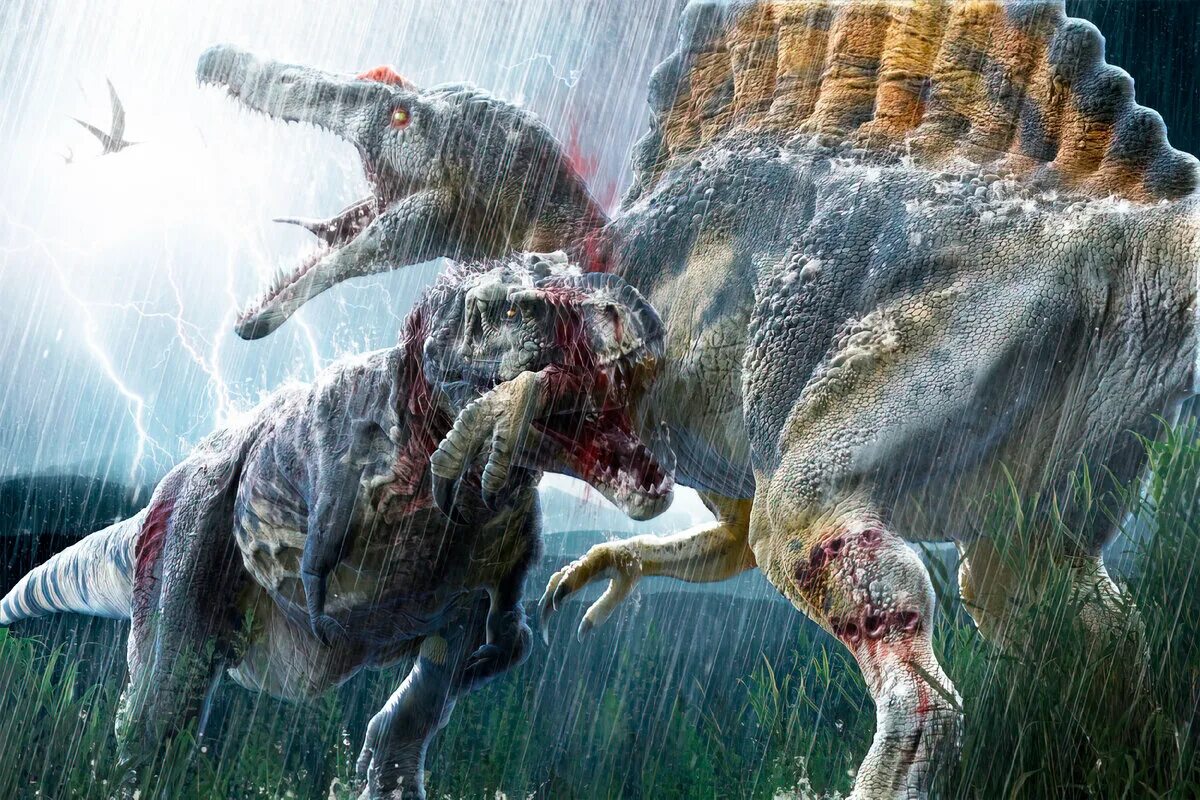Динозавры убийцы. Тираннозавр рекс против Спинозавра парк Юрского периода 3. Тиранозавр рекс против Спинозавра. Мир Юрского периода Спинозавр против тиранозавра. Спинозавр против ЦЕРАТОЗАВРА.