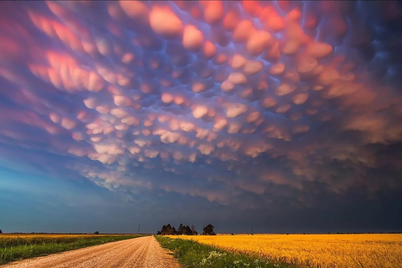 Невероятное небо. Вымеобразные облака (Mammatus cloud). Вымеобразные трубчатые облака. Облака мамматус атмосферное явление. Красота неба.