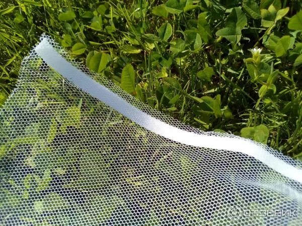 Садовая москитная сетка купить. Новая москитная сетка «membrana» нано сетка. Сетка москитная (белая 70гр/м кв) 1 х 100 метров. Капроновая сетка от москитов. Сетка на форточку.
