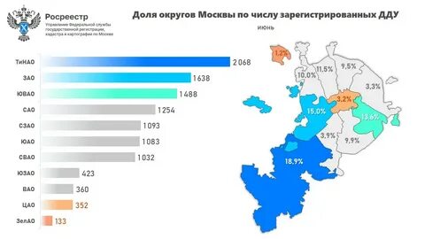Полгода в москве