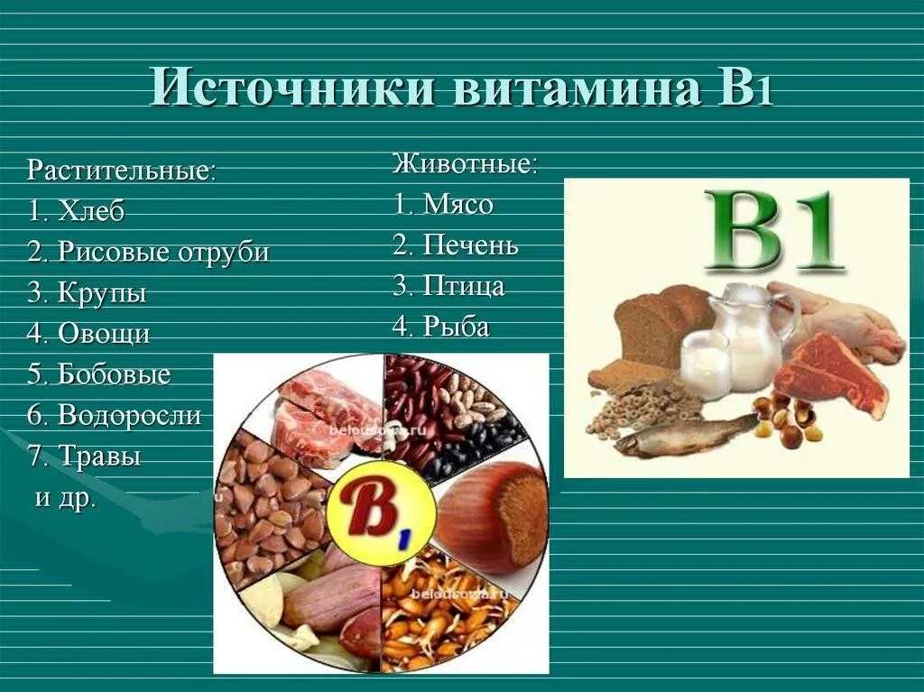 Содержание в продуктах витамина в 1. Витамин b1 тиамин источники. Продукт являющийся источником витамина в1. Основными пищевыми источниками витамина в1 являются. Основные источники витамина в1.