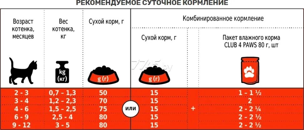 Порция для кота. Норма сухого корма для котят 5 месяцев. Таблица кормления кошек сухим кормом. Норма сухого корма для кота 8 месяцев. Нормы кормления кошек сухим кормом таблица.