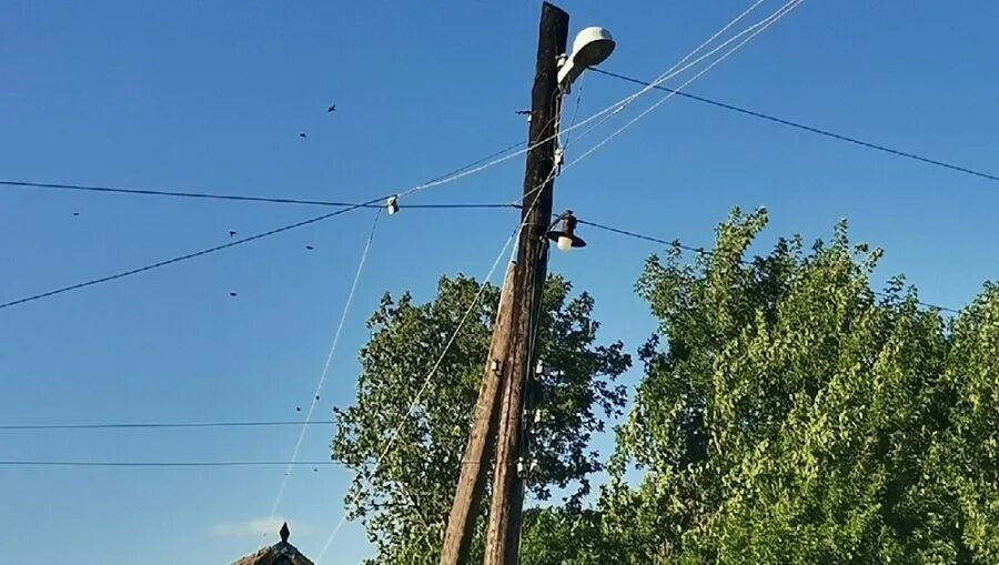 На проводах. Провода на улице. Демьянки Стародубский район. Аварийное отключение света. Подслушано в брянске брянской области