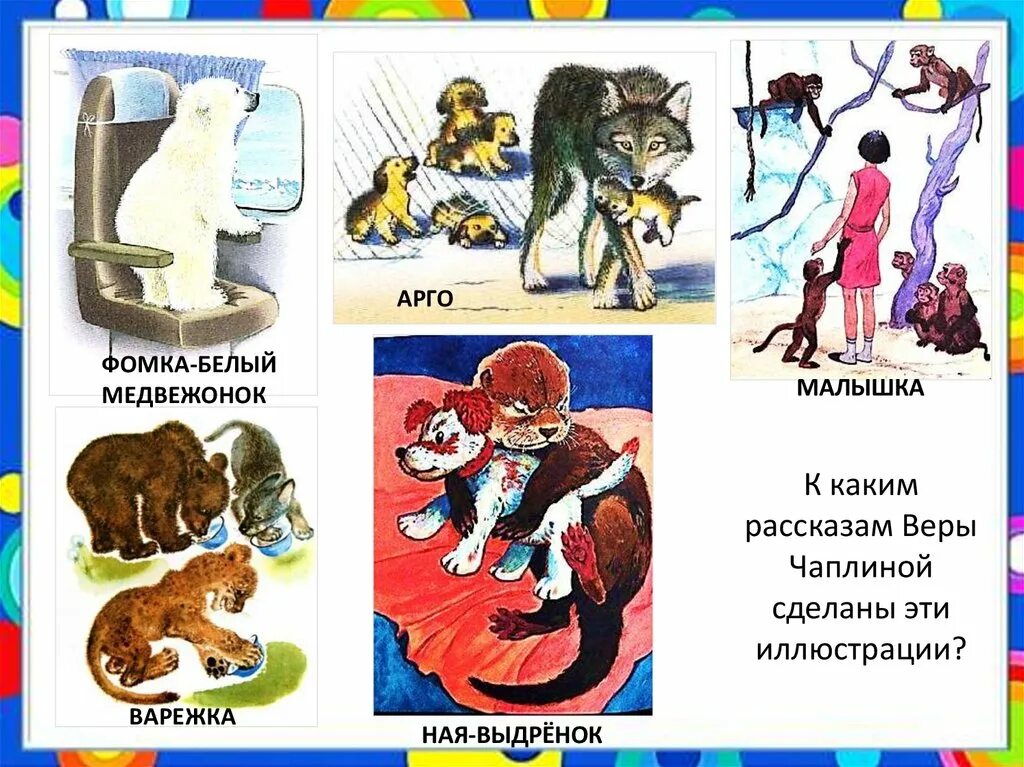 Чаплина малышка. Книги веры чаплиной мои питомцы. Чаплина малышка. Чаплина малышка. Чаплина иллюстрации.