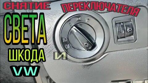 Света шкода