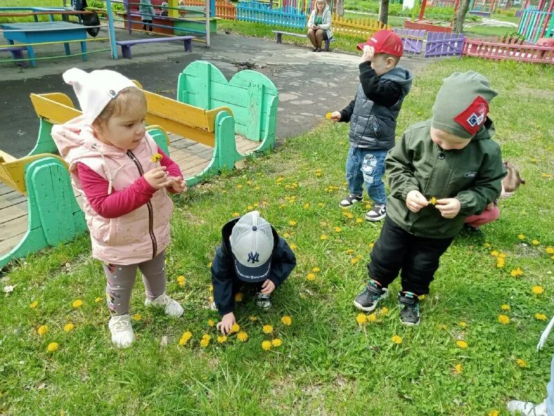 Картотека зимних прогулок в подготовительной группе декабрь. Наблюдение на прогулке ранний возраст. Наблюдение на прогулке ранний возраст. Прогулка в доу. Наблюдение на прогулке ранний возраст.
