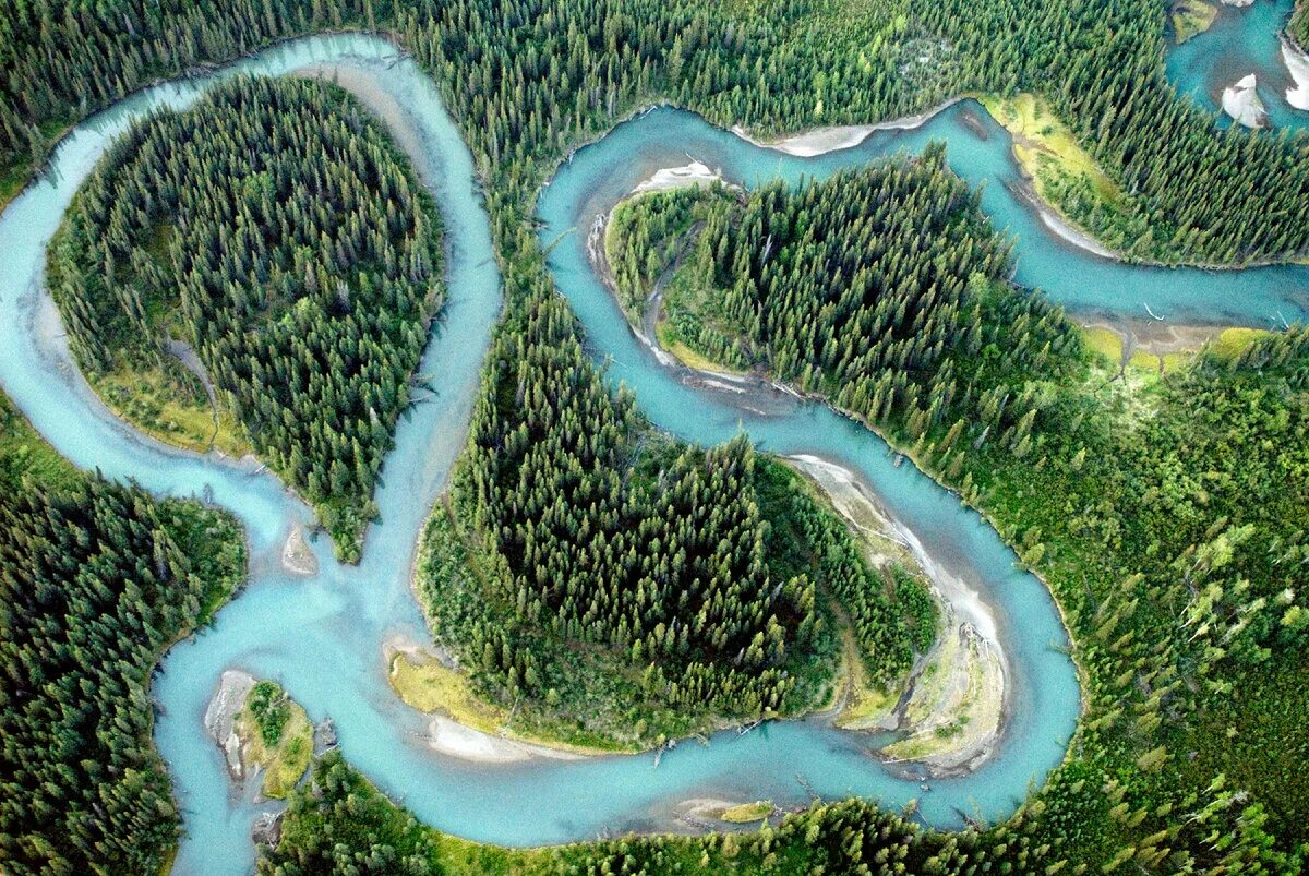 Видовое разнообразие реки. Меандры реки. Меандры амазонки. Дуглас Престон Извилистая река. Меандрирующее русло реки.