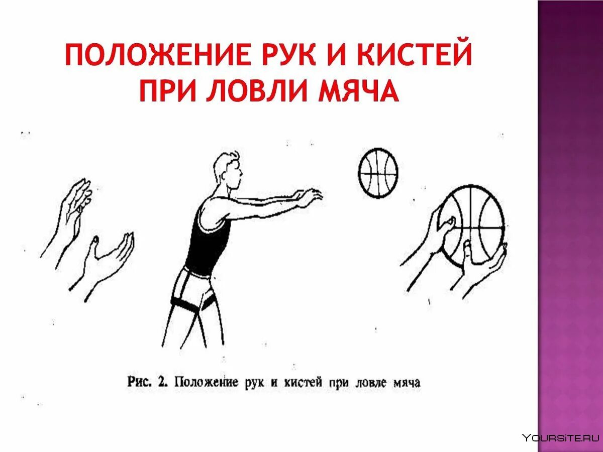 Ловля и передача мяча в движении. Техника передачи мяча от груди.баскетбол двумя. Техника передачи баскетбольного мяча двумя руками. Ловля и передача мяча в движении в баскетболе. Техника ловли мяча в баскетболе.