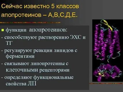 Регулирующая реакция