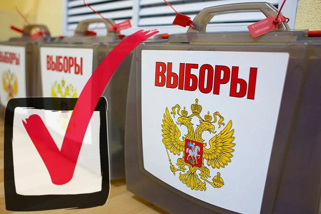 Выборы депутатов 2025 смоленская область. Выборы 2025. выборы партии. выборы на дону. выборы депутатов законодательного собрания.