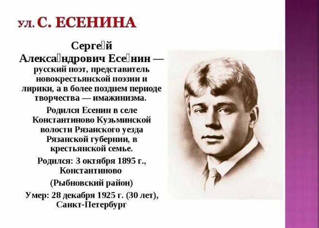 Произведения есенина кратко. Биография Есенина биография Есенина. Биография Сергея Александровича Есенина. Есенин краткая биография.