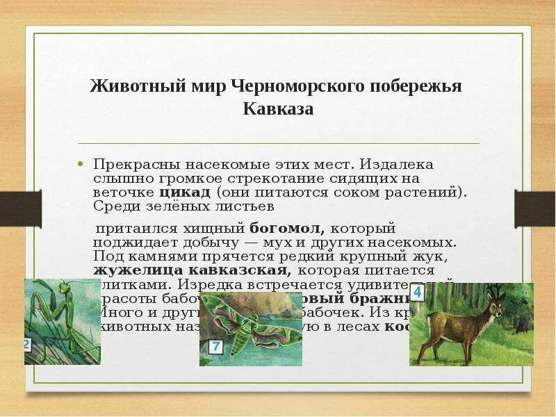 Какие экологические проблемы субтропической зоны, выражены этими знаками?