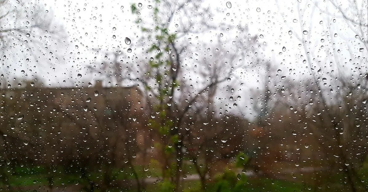 Дождь весной. Лето дождь. Ливень.