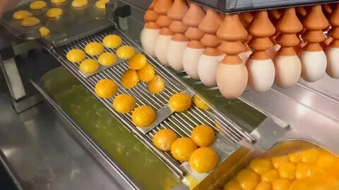 Оборудование для производства яиц